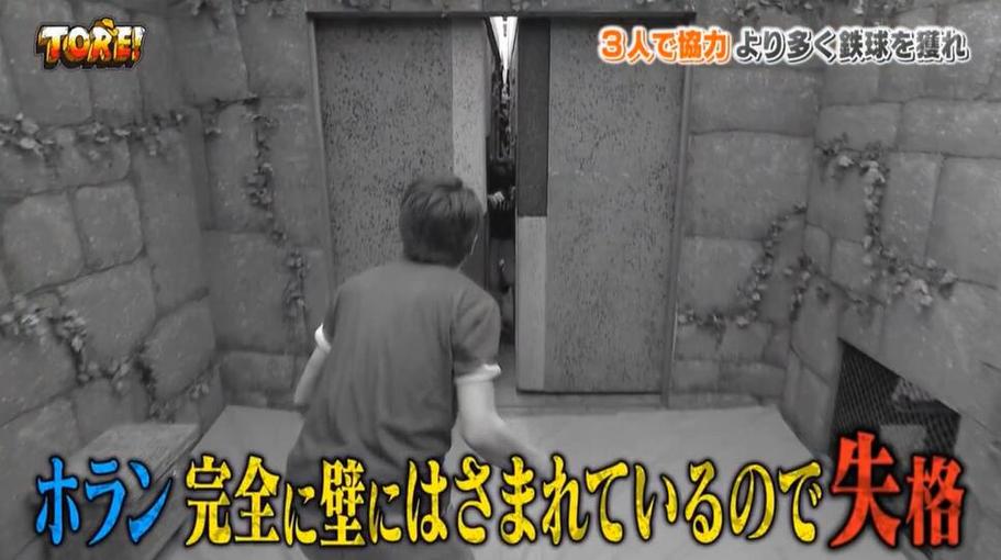 解密：如何寻找最全面的日本综艺节目？