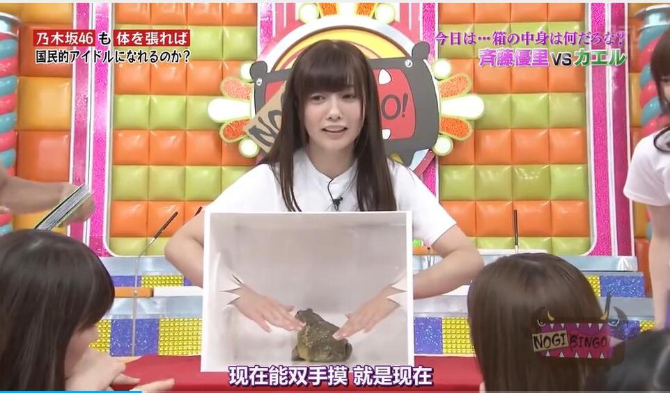 nogibingo超级足球大赛