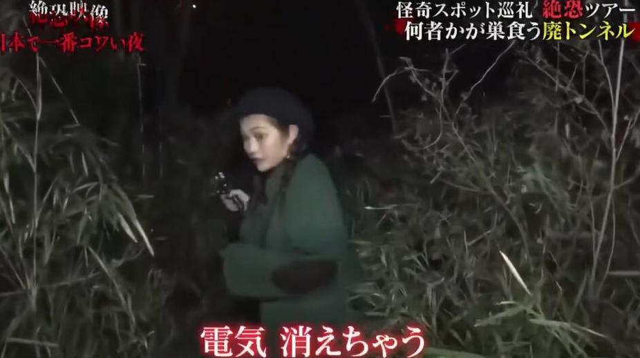 专业探险者的秘密禁地，你敢一探究竟吗？《世界恐怖之夜》全集中文版揭秘