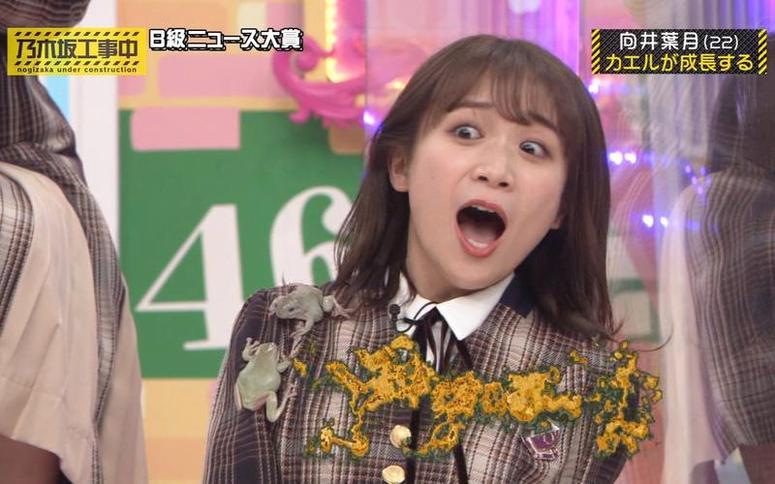 节目里的乃木坂46和现实中一样可爱，《乃木坂工事中》acfun全网独家播出