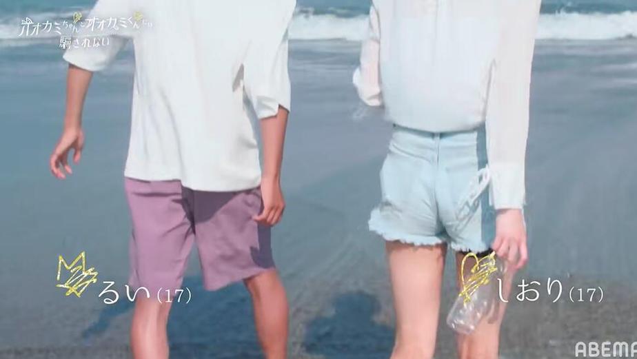 当女高中生遇见狼君，恋爱骗局开始了？《别被狼君所欺骗》2022解析