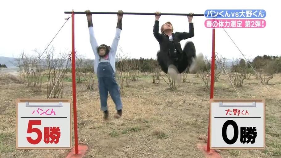 找到了！在哪里可以免费收看日本综艺节目直播