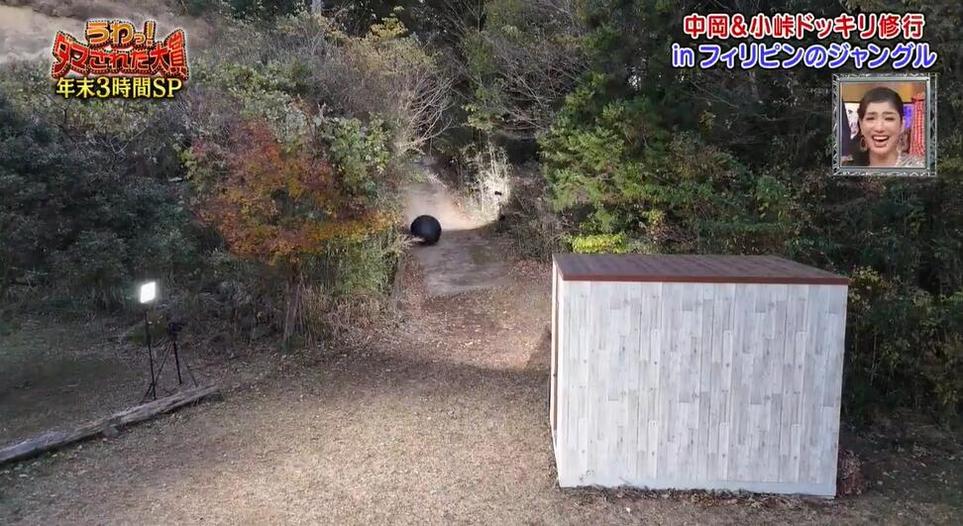 日本搞笑综艺小夫引爆全场，恶搞成神话