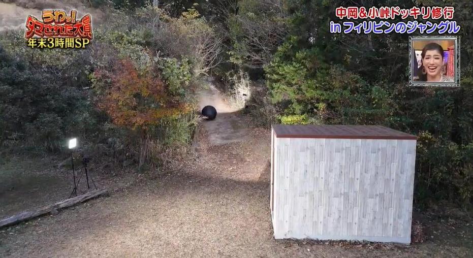 尽情狂笑！《整人大赏》1080p下载，欣赏日本综艺节目高清画质