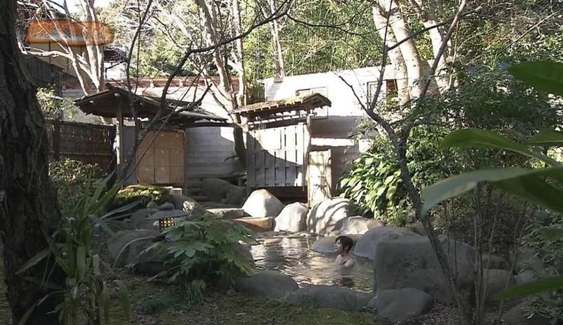 全方位探索：《温泉行不行》住宿特辑告诉你哪个温泉最适合你